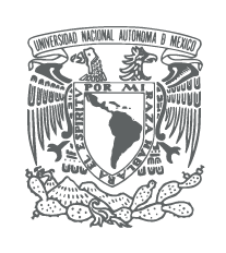 UNAM - Chicago