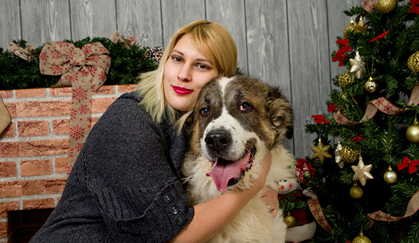 A girl’s dog in Christmas.