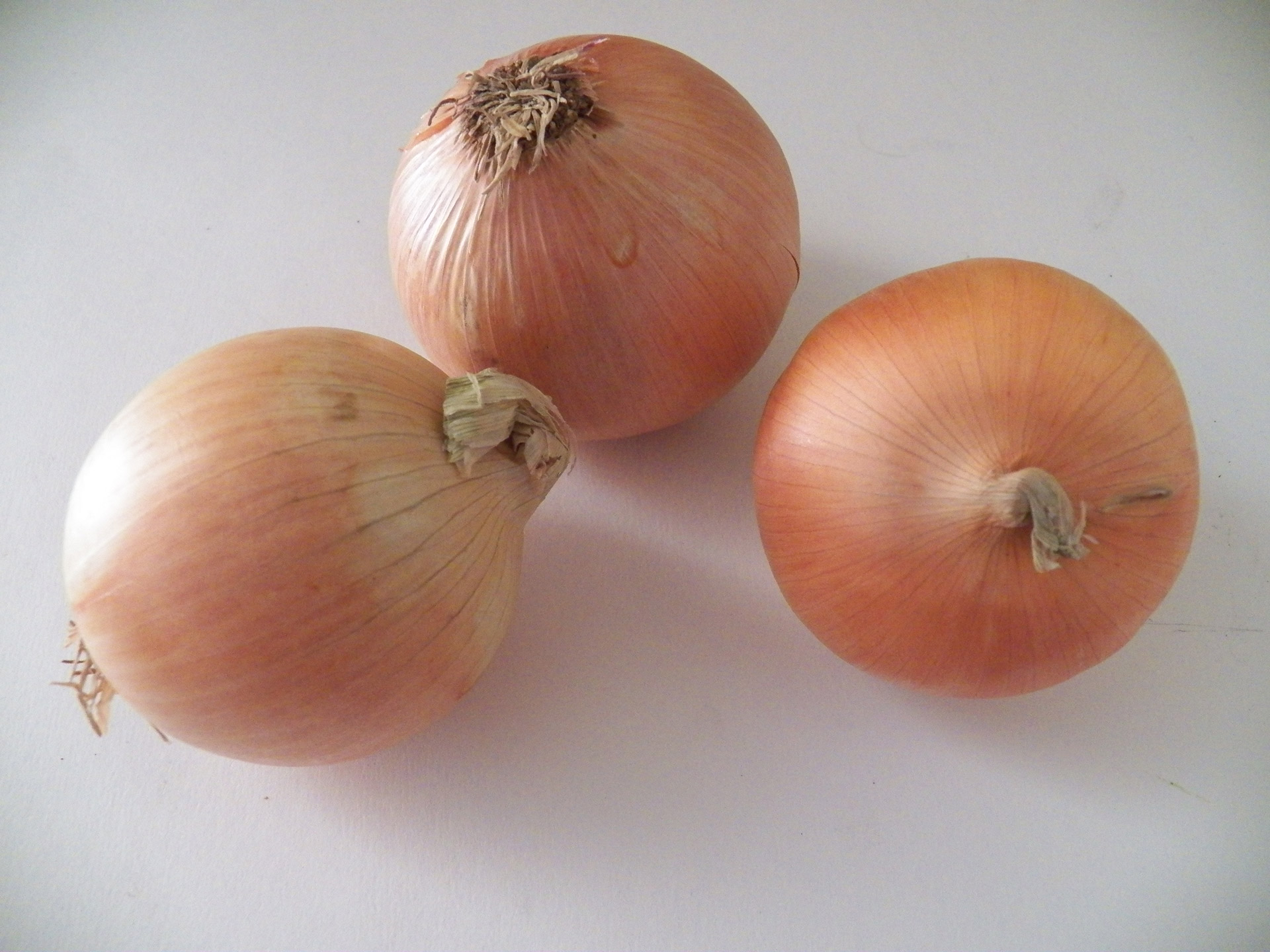 onions