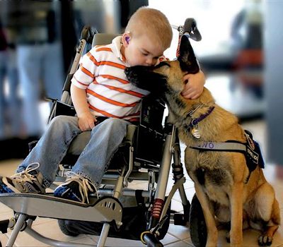 Child with a dog