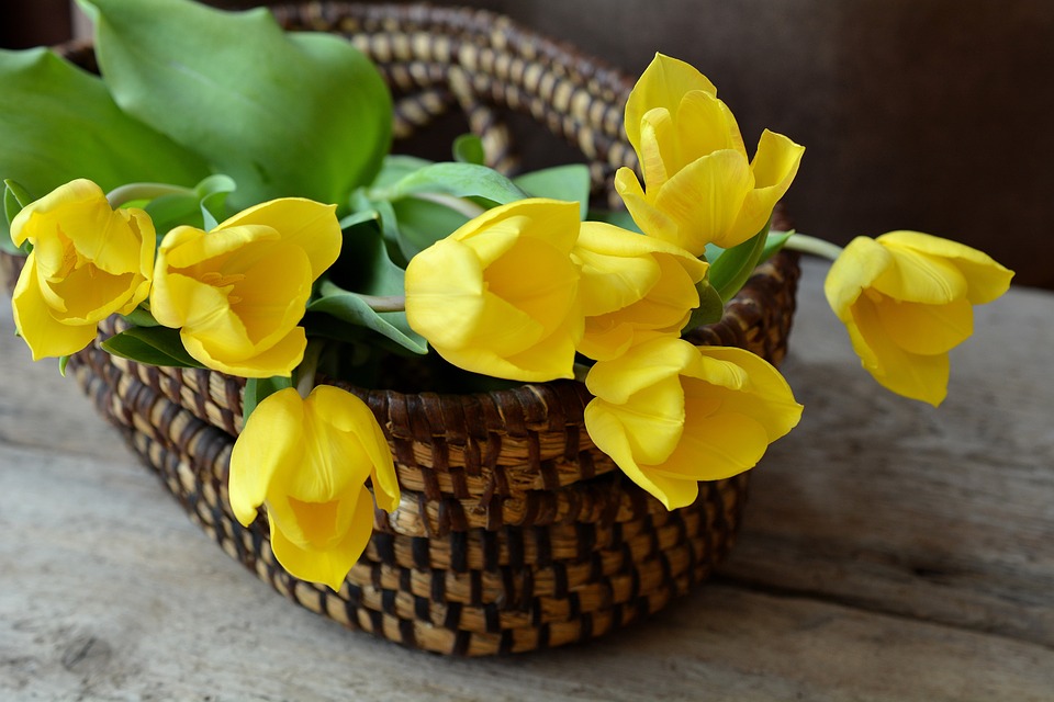 Yellow flowers